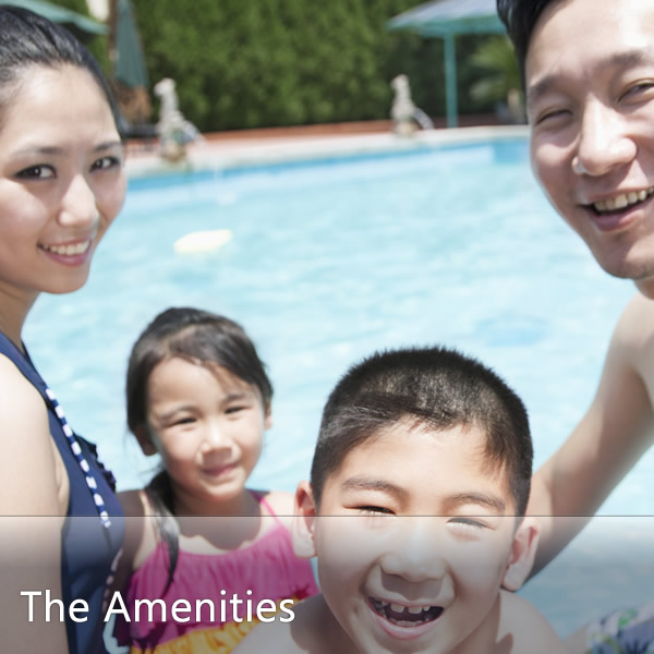 Features & Amenities